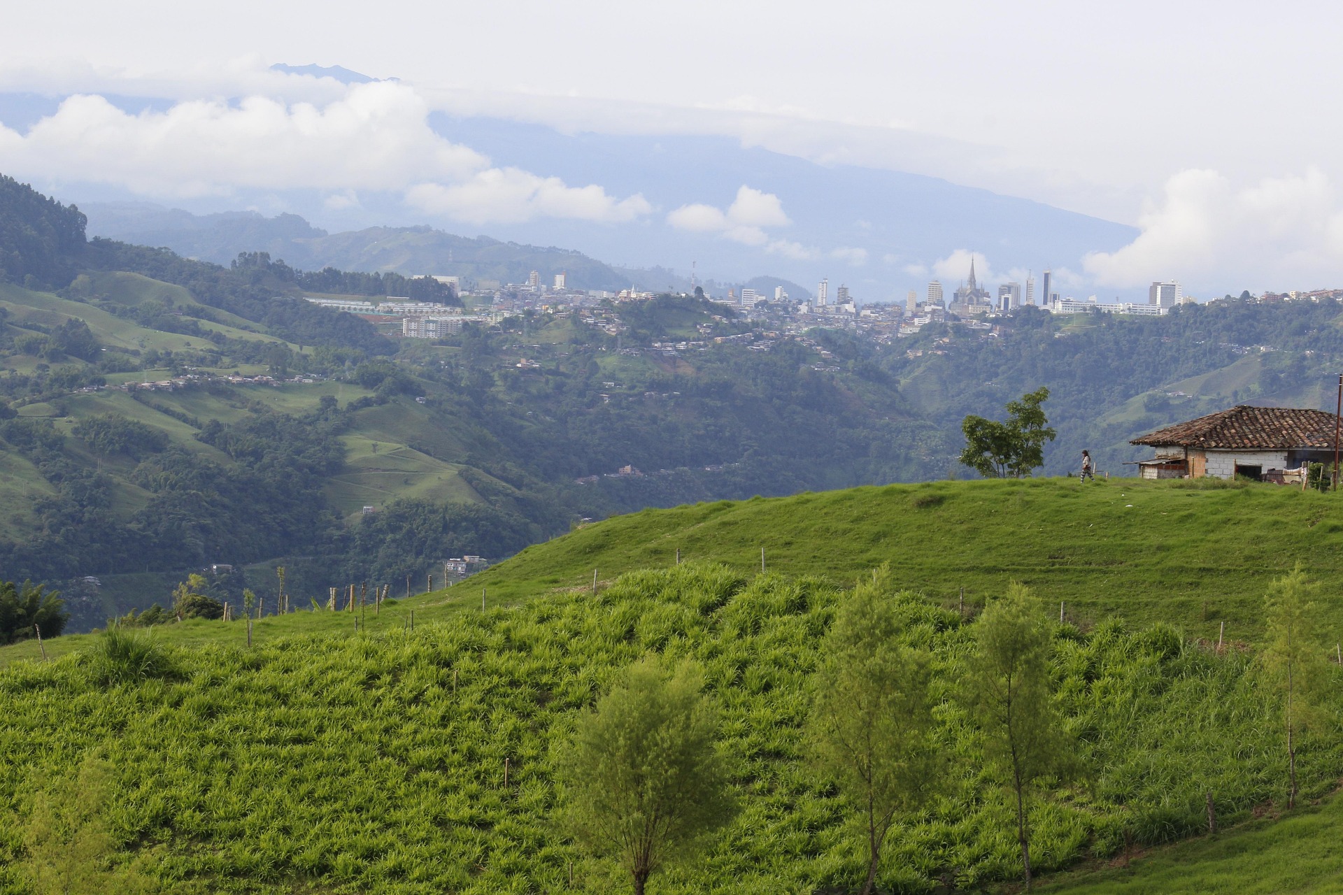 Eje Cafetero Colombiano